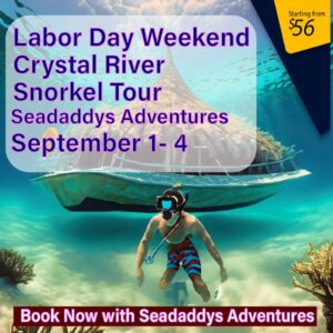 Seadaddys Experiences  Crystal River Florida
